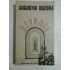 REFUGII  (roman)  -  AUGUSTN  BUZURA 